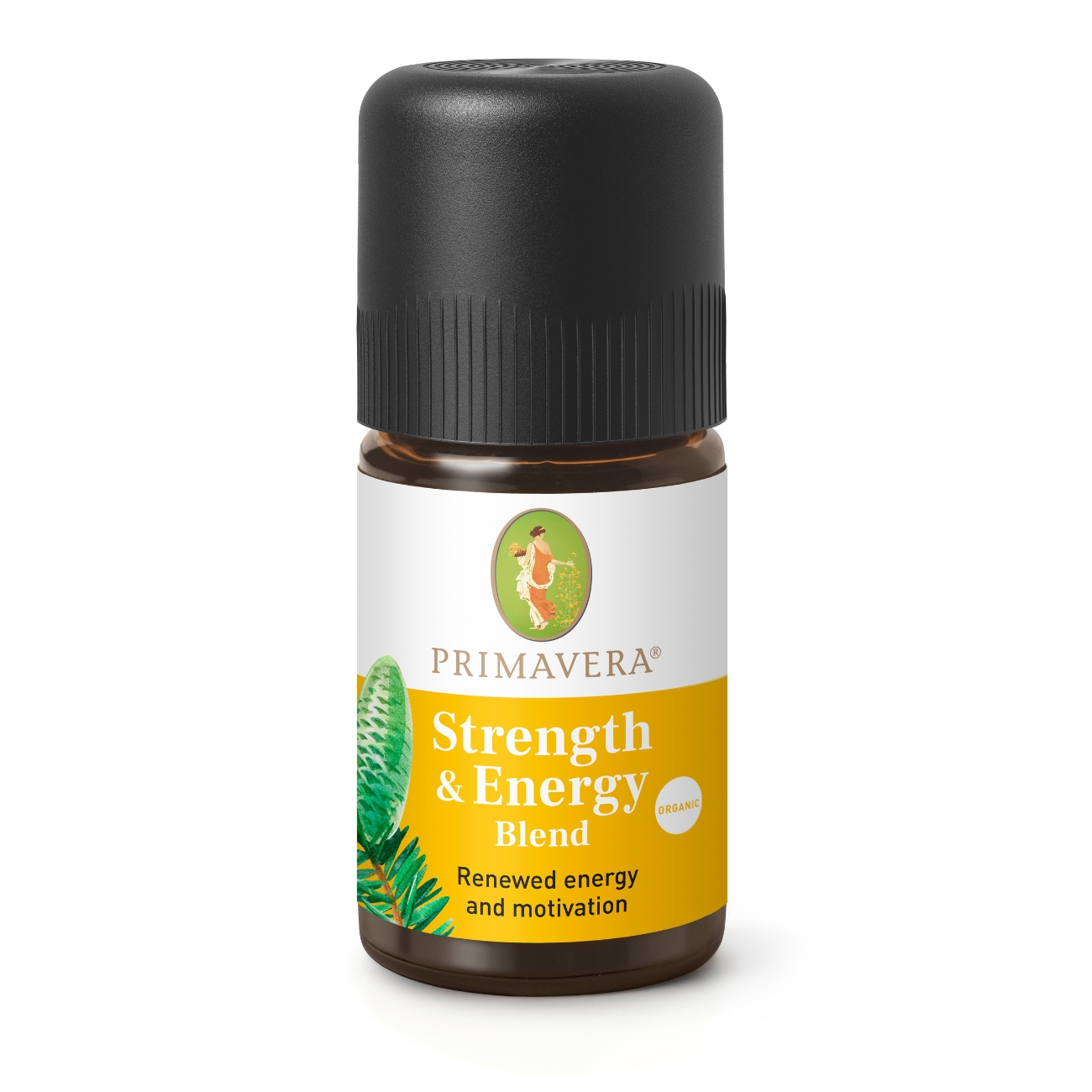 Síla a energie 5ml